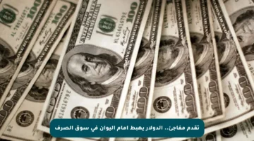 تقدم مفاجئ.. الدولار يهبط أمام اليوان في سوق الصرف